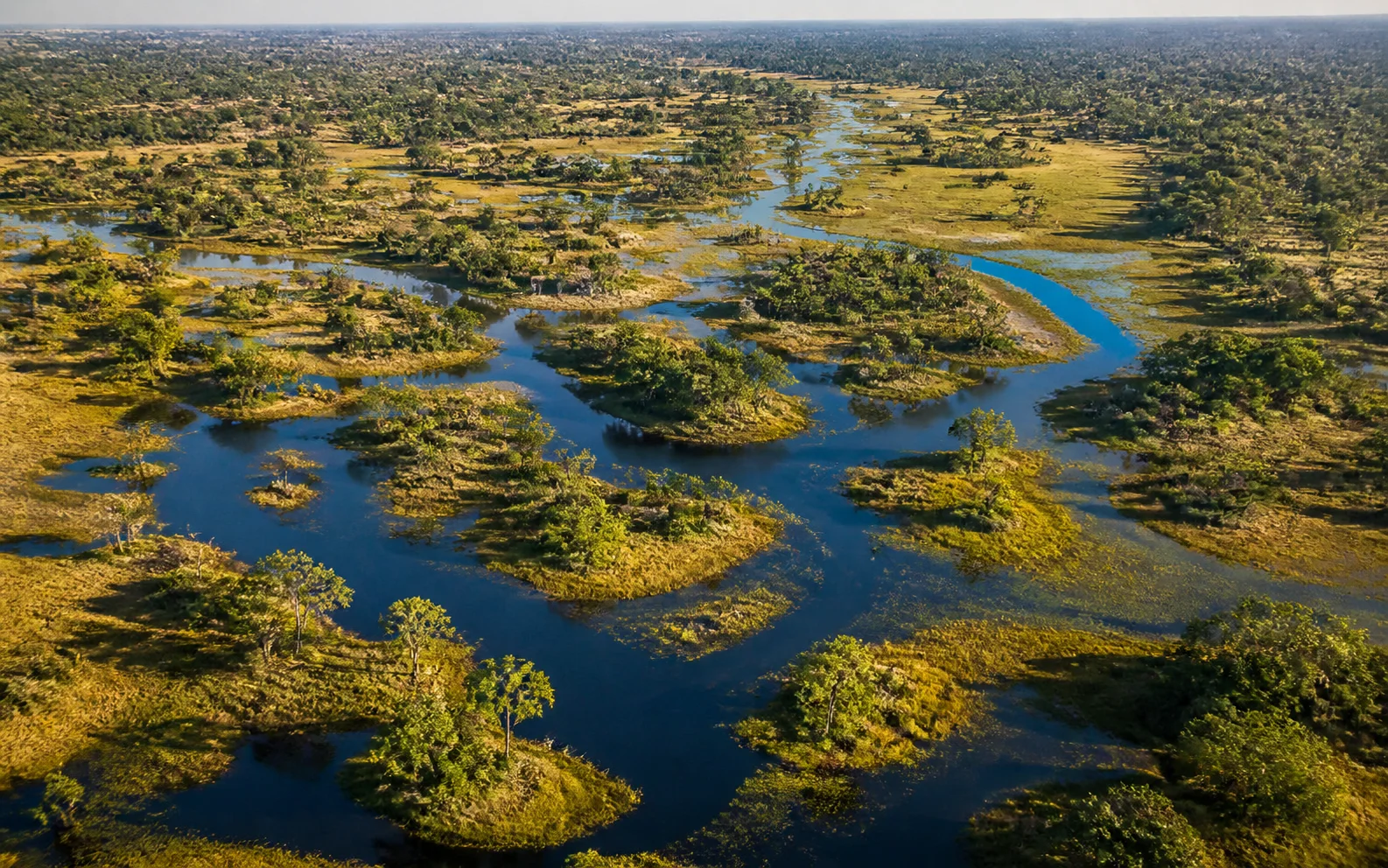 Okavango Delta mokoro scene in Okavango