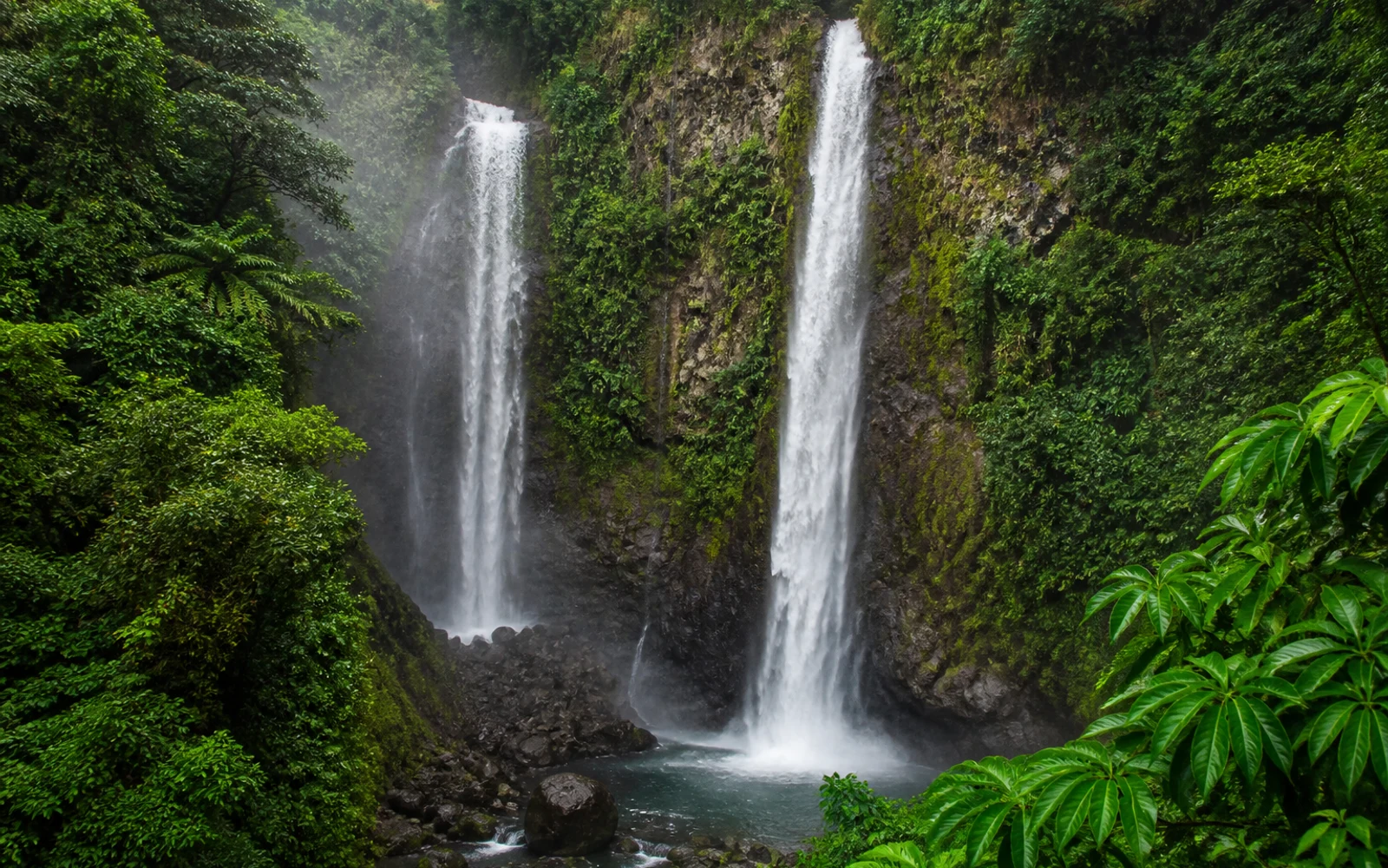 Boiling Lake rainforest in Morne Trois Pitons