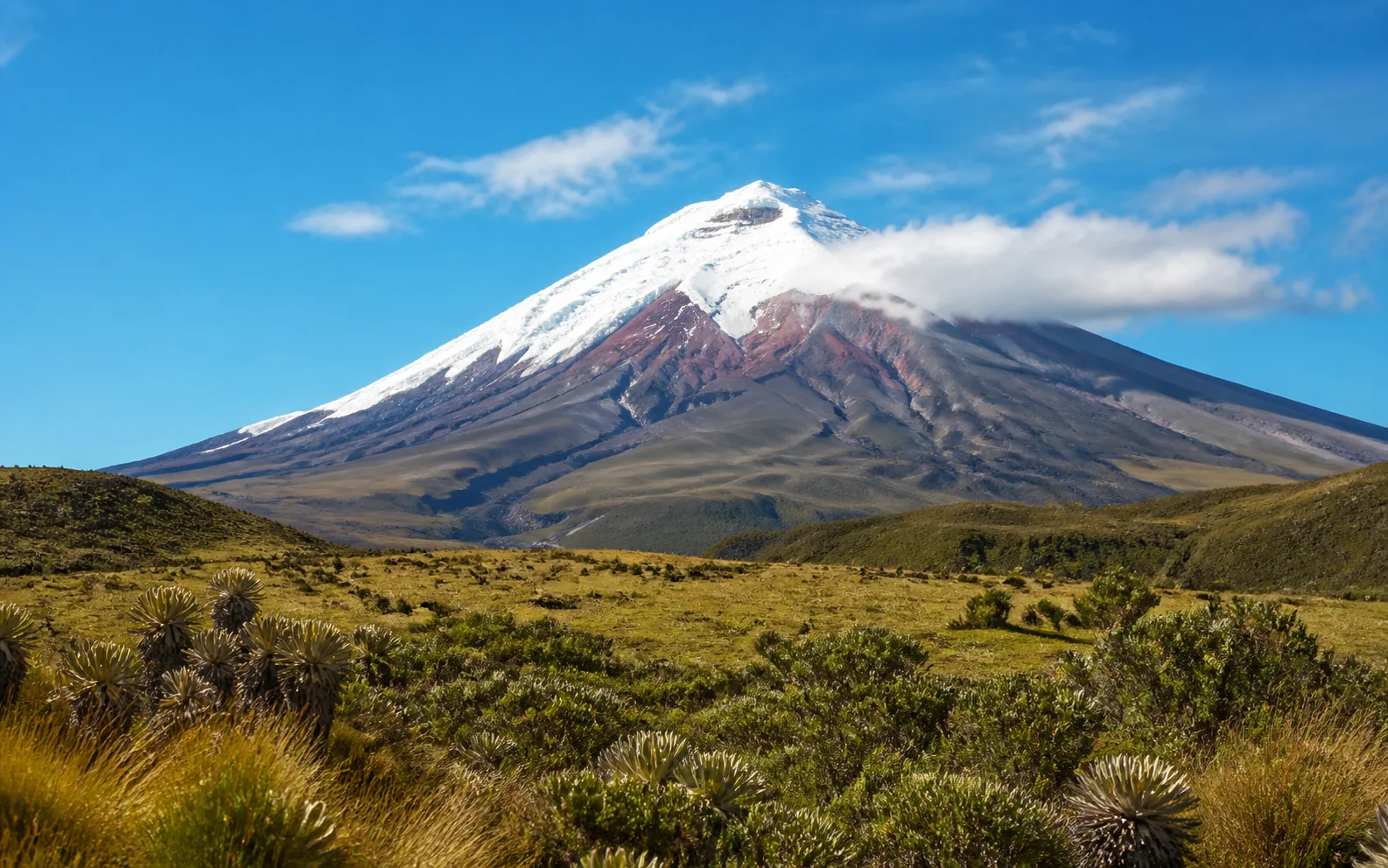 Cotopaxi volcano in Cotopaxi