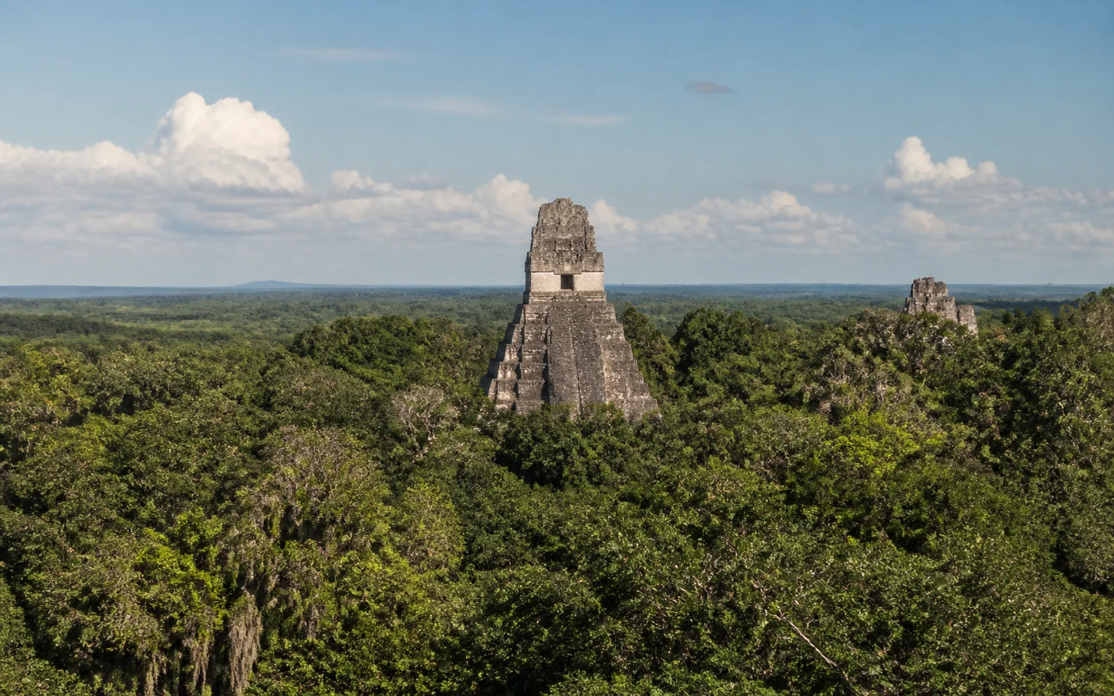 Tikal Maya temples in Petén