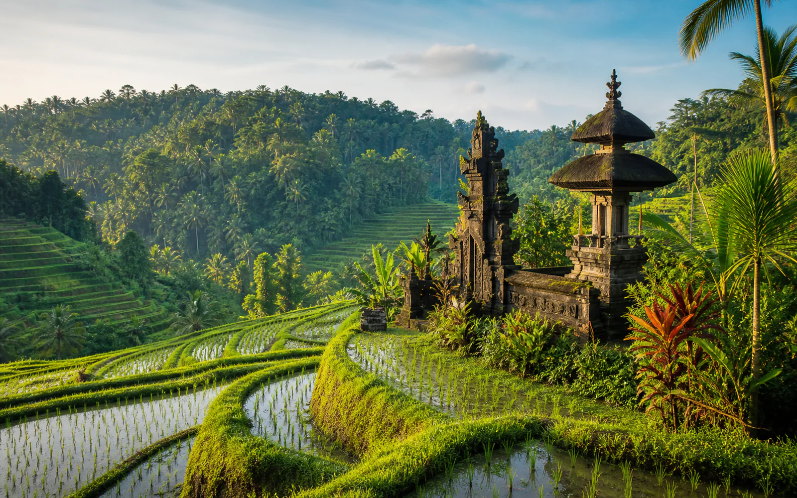 Bali rice terraces and a traditional Balinese temple amid lush tropical vegetation
