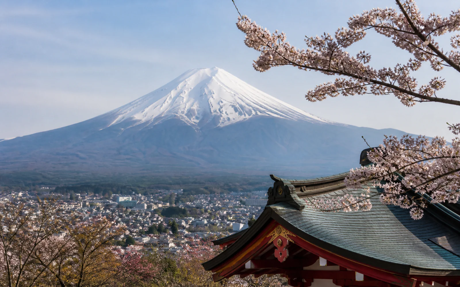 Mount Fuji above a Japanese town, traditional roof, and spring blossoms