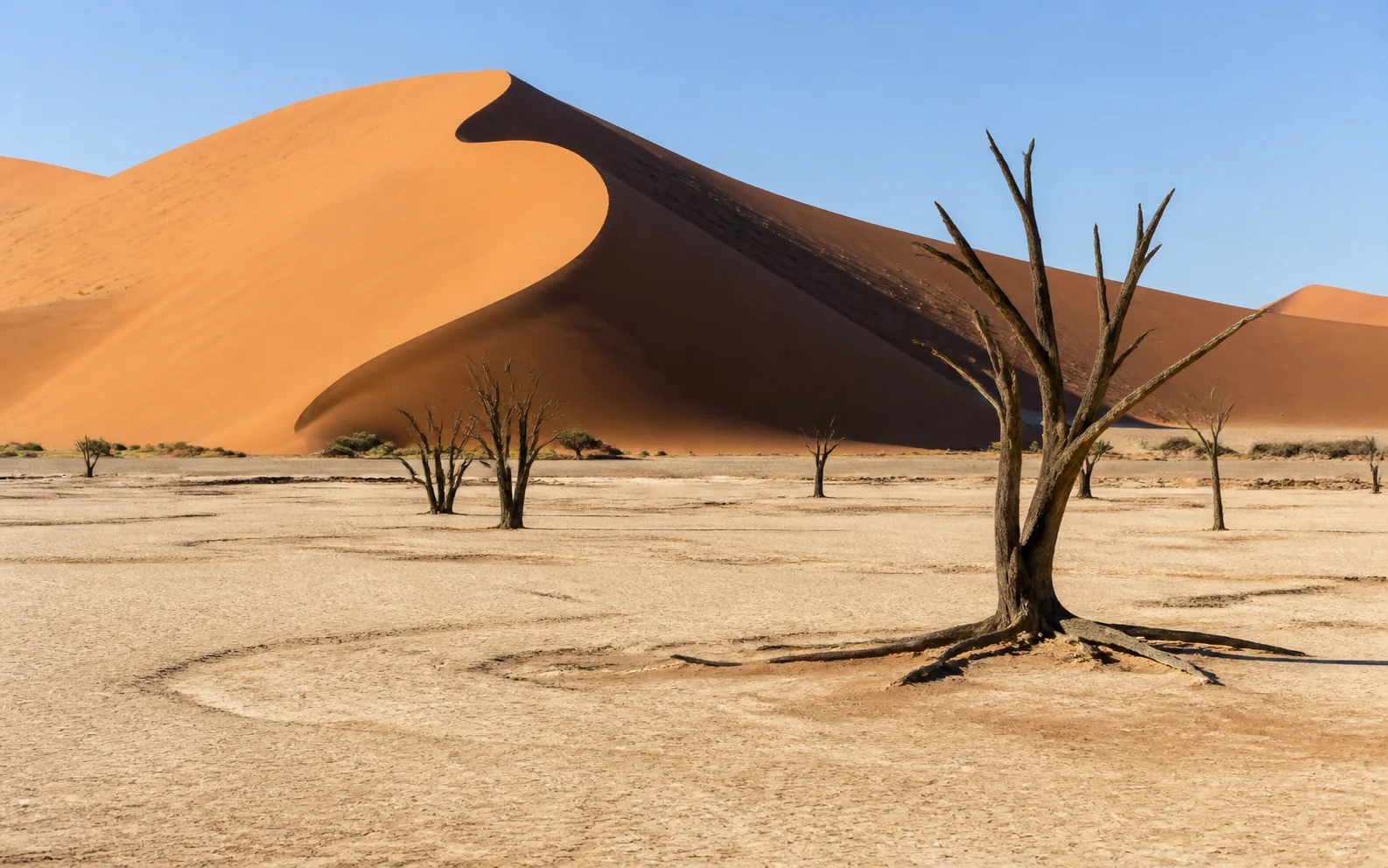 Sossusvlei red dunes in Namib Desert