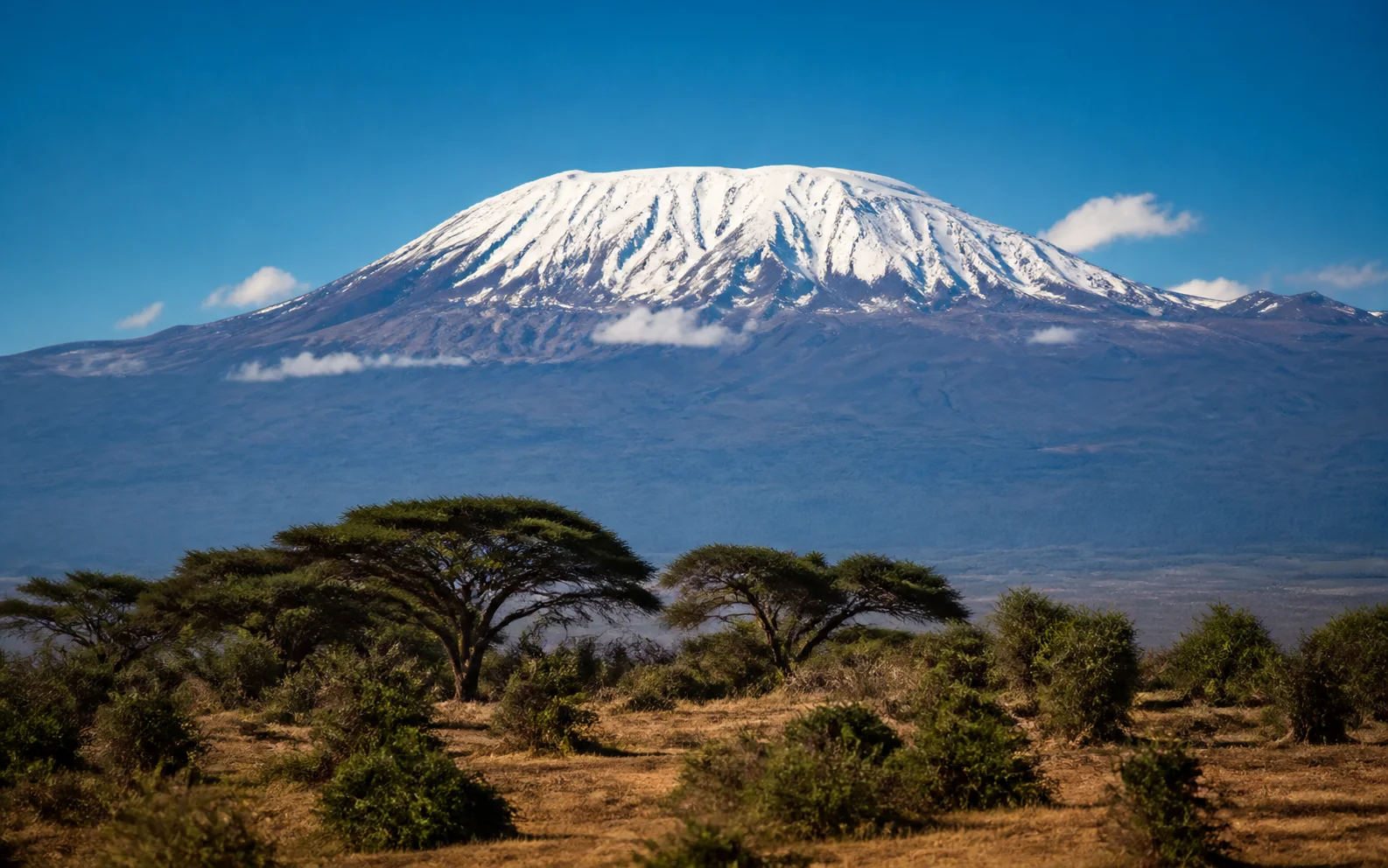 Mount Kilimanjaro in Kilimanjaro